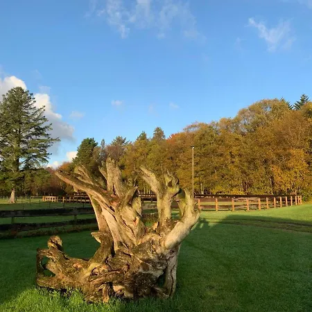 Apartman Sejtraek Tversted