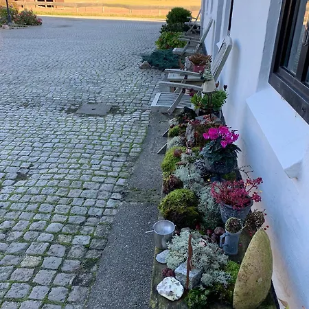 Sejtræk Lejlighed Tversted
