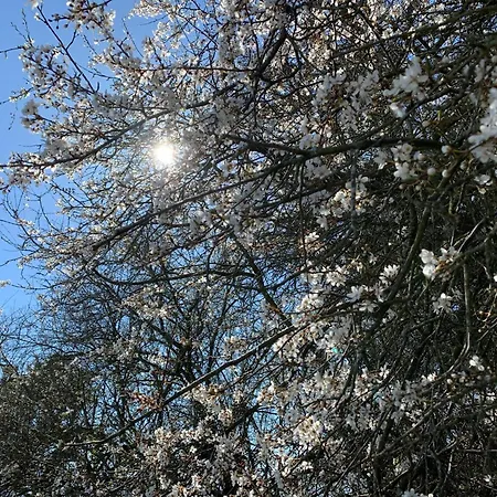 Sejtraek Apartman Tversted