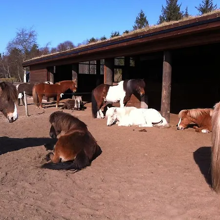 Sejtraek Tversted