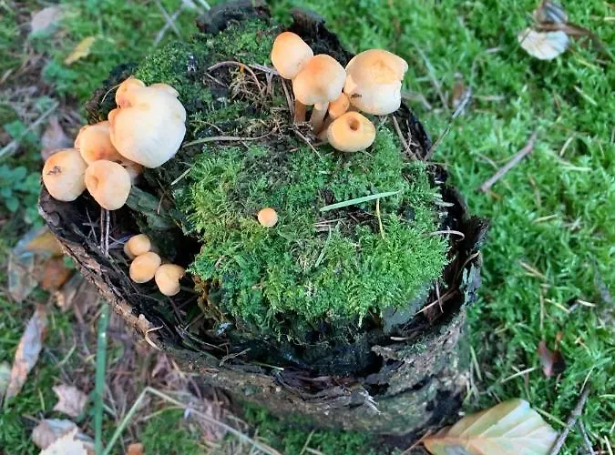 Sejtraek Appartamento Tversted