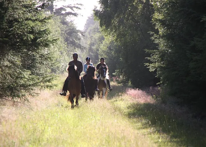 Sejtraek Appartamento